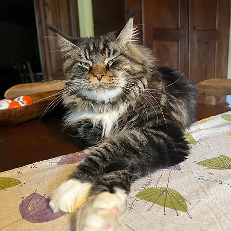 Pensjonat La Casa Arancione *