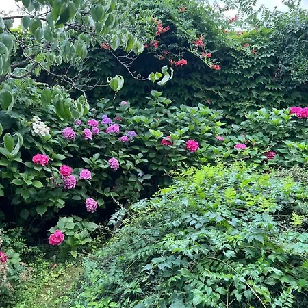 La Casa Arancione Guest house *