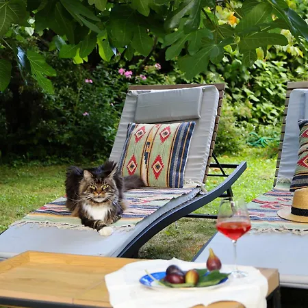 La Casa Arancione Boves