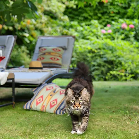 La Casa Arancione * Boves