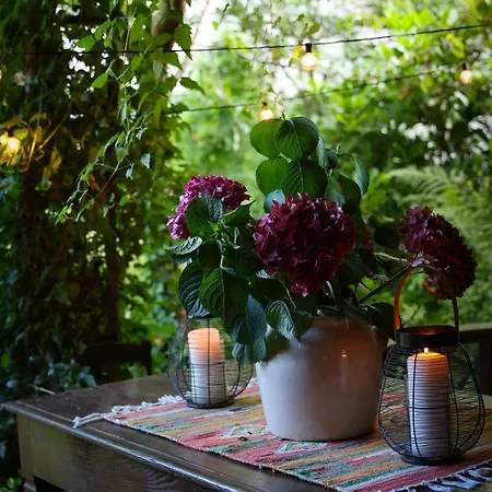 Guest house La Casa Arancione *