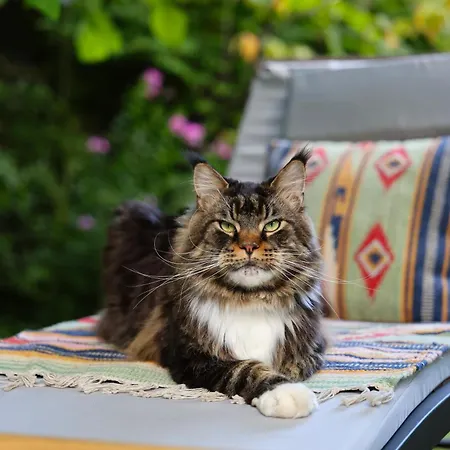 La Casa Arancione Pensjonat *