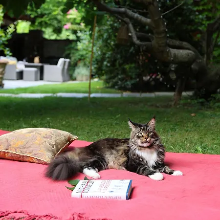 La Casa Arancione Guest house Boves