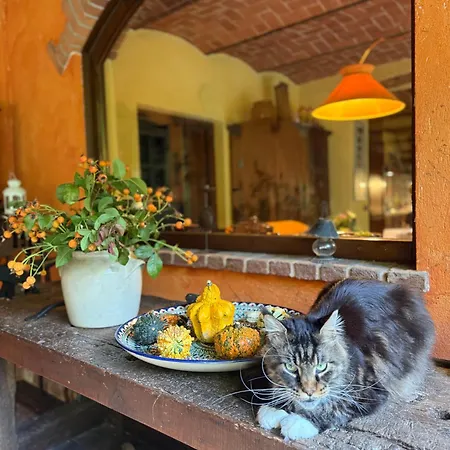 Pensionat La Casa Arancione *