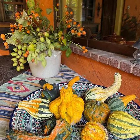 La Casa Arancione Guest house