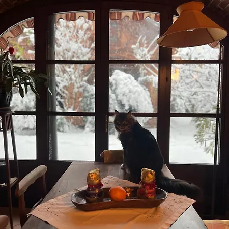 La Casa Arancione Guest house *