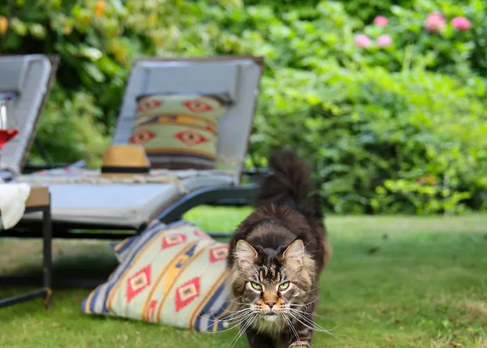 La Casa Arancione * Boves