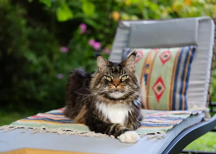 La Casa Arancione Pensión *