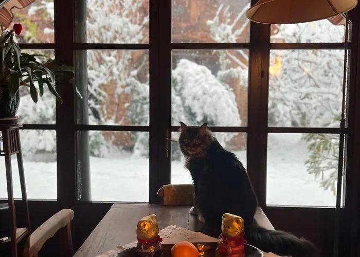 La Casa Arancione Pensión *